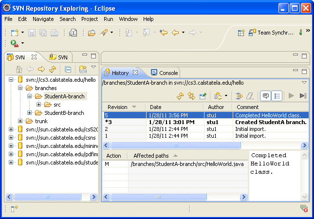 [History of Student A's Branch]